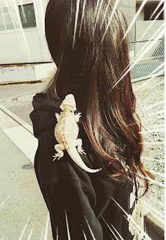 プロフィール写真9・奏(かなで)🦎上野Mrs.J|Mrs.J 上野・ミセスジェイ - 上野の熟女パブ/熟女キャバクラ