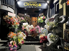 プロフィール写真3・美妃|LOUNGE CHARIS・カリス - 市原市・五井駅周辺のパブ/スナック