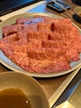 新着ブログ ⋆ . * ☽ * . ⋆