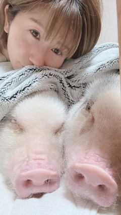 🌸桜木  みく「出勤」