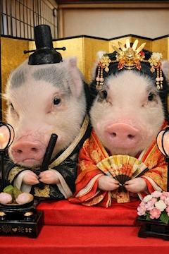 🌸桜木  みく「出勤」