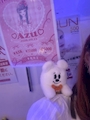 chiko