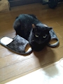 たくちゃん