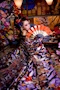 プロフィール写真16・柴原 みのりママ|昇・ノボル - 北新地のラウンジ/クラブ