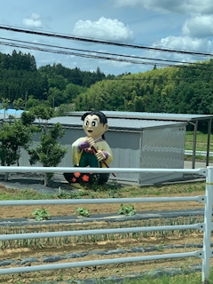 🍍まい☺︎♡