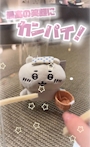 chiko