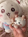 chiko