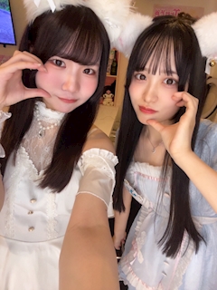 トレイスの妖精「キャストさん募集中♡」