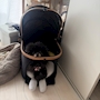 chiko