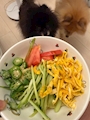 chiko