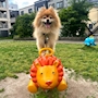 chiko
