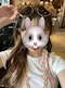 プロフィール写真10・まひろ|Cantik Pub 天王寺店・チャンティックパブ - 天王寺のガールズバー