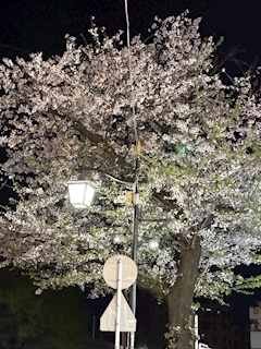 すず「久しぶりの投稿！」
