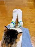 星‎✰︎ ̖́-