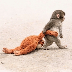 店舗写真 Lounge椎茸・シイタケ - 静岡 両替町のクラブ/ラウンジ