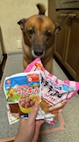 chiko