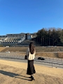 ひな