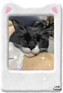 chiko