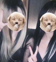 りん「🐈」