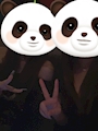 新着ブログ 🐼