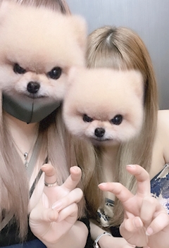 りん「✌️✌️✌️」