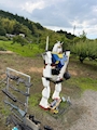 chiko