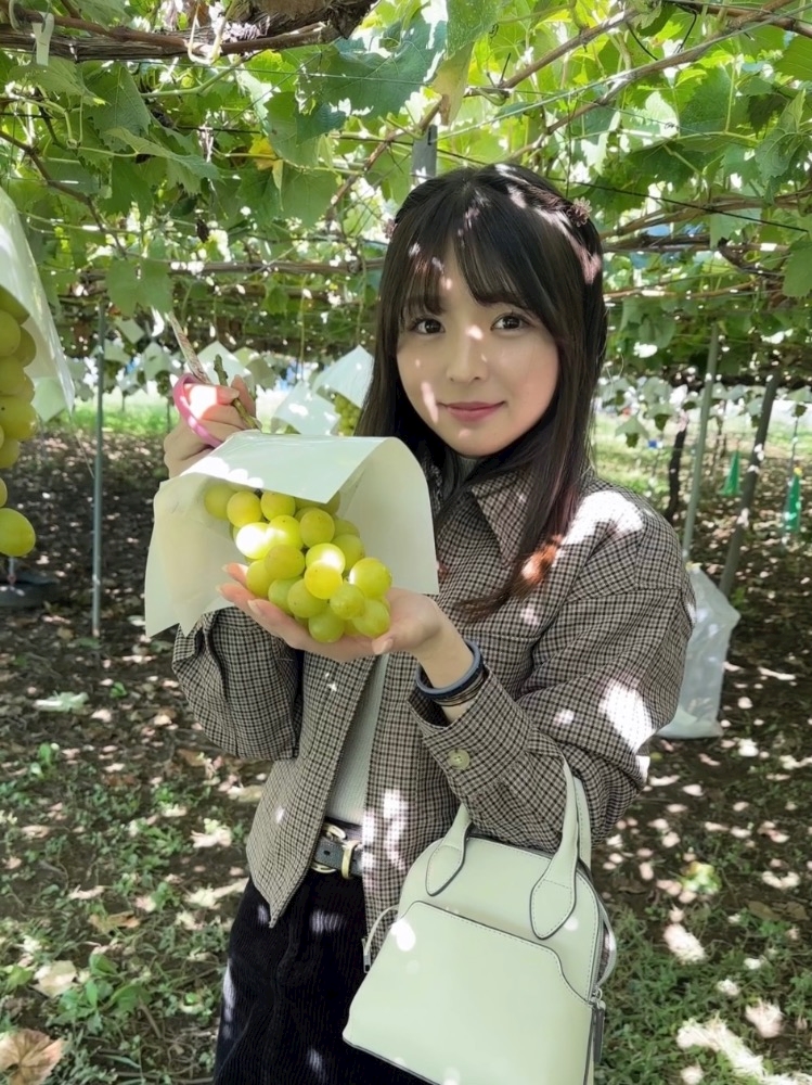 ⸜🌷︎⸝‍ はな Snack Harie・ハリエ 向ヶ丘遊園のパブスナック ポケパラ 3954