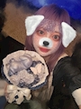 chiko