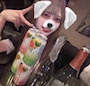 chiko