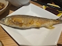 新着ブログ 鮎~