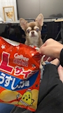 chiko