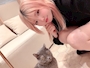 chiko