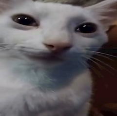 いちご