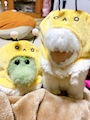 chiko