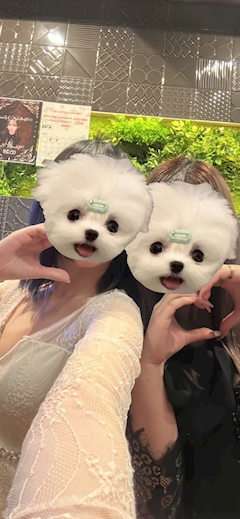 つばき「31日」