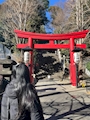のぞみ