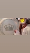 プロフィール写真1・くるみ|CLUB XRONUS・クロノス - 祖師ヶ谷大蔵のキャバクラ