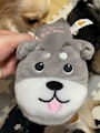 chiko