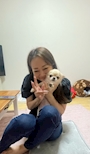 chiko