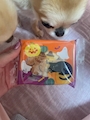 chiko