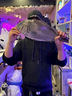 ざくろ「昨日は、、、」