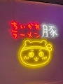 chiko