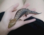 chiko