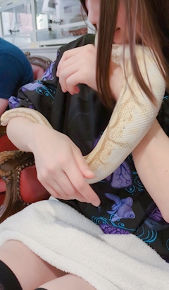 プロフィール写真9・✡️🦎 ゆきみ 🍓 だいふく 🐍✡️｜清瀬 熟女パブ・ALWAYS