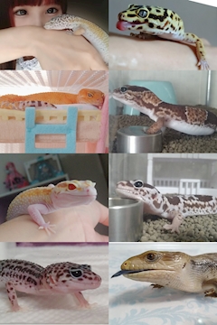 プロフィール写真22・✡️🦎 ゆきみ 🍓 だいふく 🐍✡️｜清瀬 熟女パブ・ALWAYS