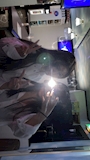 chiko