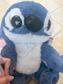 chiko