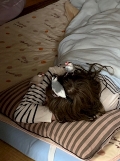 プロフィール写真6・🐰💓ひろ💓🐰(五反田リエーブル)｜五反田 lievre・リエーヴル - 五反田駅東口のキャバクラ