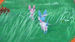 プロフィール写真8・ちさと｜フェスティバル 裏なんば店 - 裏なんばのガールズバー