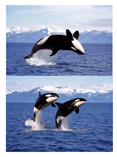 プロフィール写真18・ちさと｜フェスティバル 裏なんば店 - 裏なんばのガールズバー